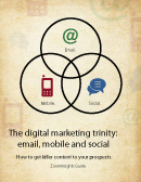 Social Media Marketing Integration and ROI
